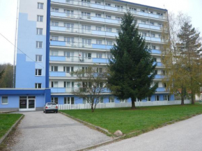 Apartmá Ježková Vrchlabi